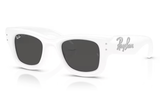 Ray-Ban Sunglass RB4940B (Pre_Booking)
