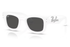 Ray-Ban Sunglass RB4940B (Pre_Booking)