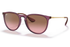 RAY-BAN Sunglasses RB4171