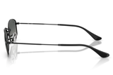 RAY-BAN Sunglasses RB3832