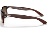 Ray-Ban Sunglass RB4202 (Pre_Booking)