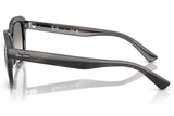 Ray-Ban Sunglass RB4398 (Pre_Booking)