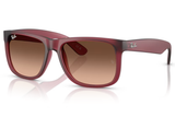 Ray-Ban Sunglasses Justin RB4165  POLARIZED