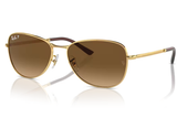 RAY-BAN Sunglasses  RB3733
