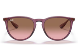 RAY-BAN Sunglasses RB4171