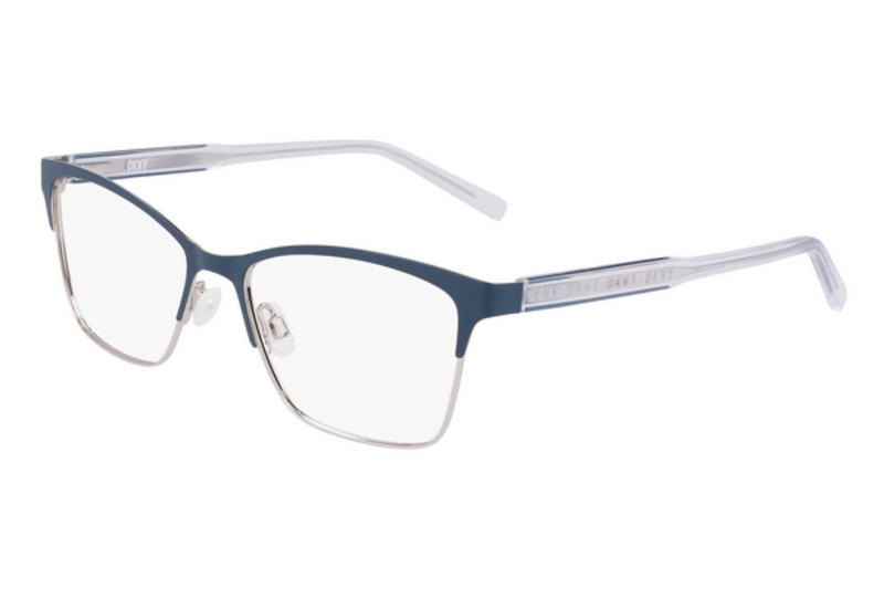 DKNY Frame 3008