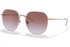 Ray-Ban Sunglass RB3680D (Pre_Booking)