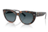 Ray-Ban Sunglass RB2286 (Pre_Booking)