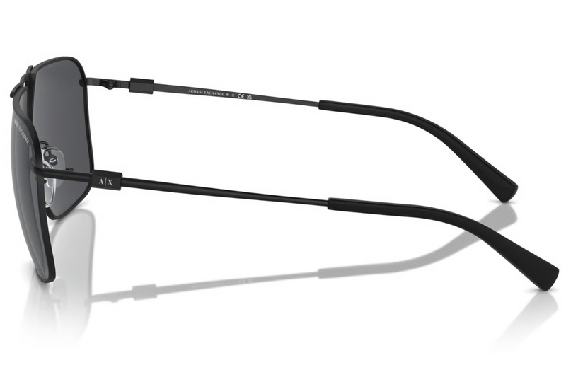 Armani Exchange Sunglasses AX2050S