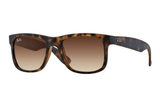Ray-Ban Sunglass RB4167( Pre_Booking)