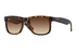 Ray-Ban Sunglass RB4167( Pre_Booking)