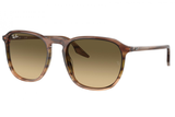 Ray-Ban Sunglass RB2203 (Pre_Booking)