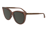 Calvin Klein Sunglasses CK25508