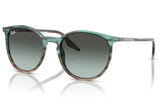 Ray-Ban Sunglass RB2204 (Pre_Booking)