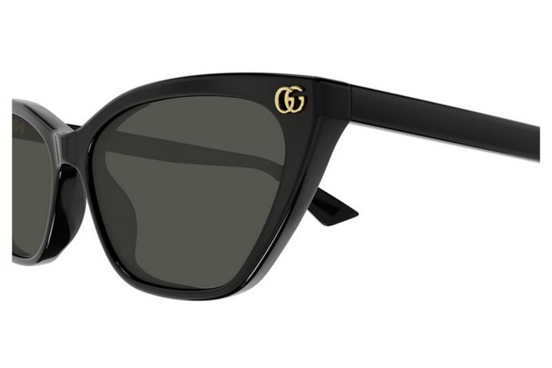Gucci Sunglasses GG1815S