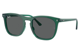 Ray-Ban Sunglass RB2210 (Pre_Booking)
