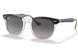 Ray-Ban Sunglass RB2298 (Pre_Booking)