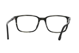 Carrera Frame CA 254