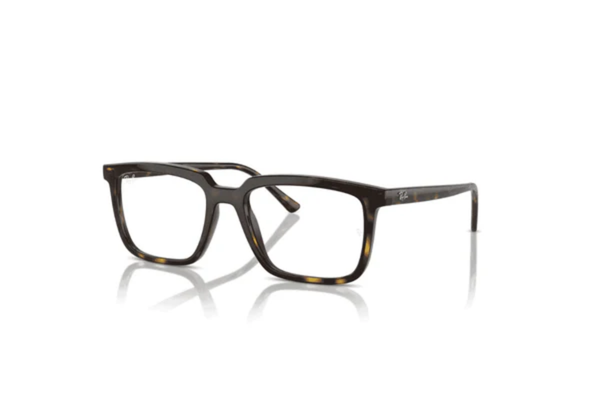 Ray-Ban Frame   RX7309I