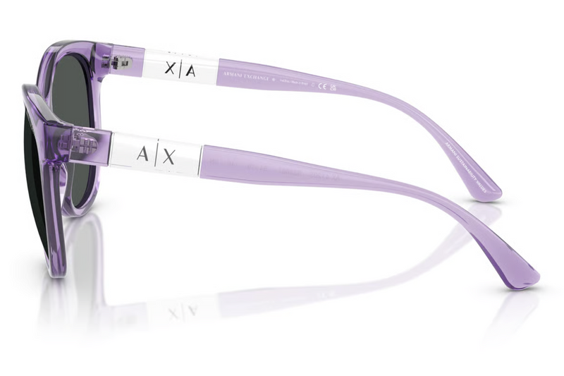 Armani Exchange Sunglasses AX4120S