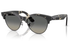 Ray-Ban Sunglass RB2341 (Pre_Booking)