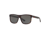 Gucci Sunglasses GG0010S