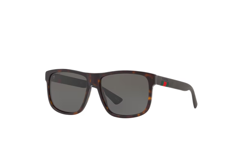 Gucci Sunglasses GG0010S
