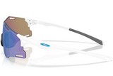 Oakley Sunglasses OO9513D