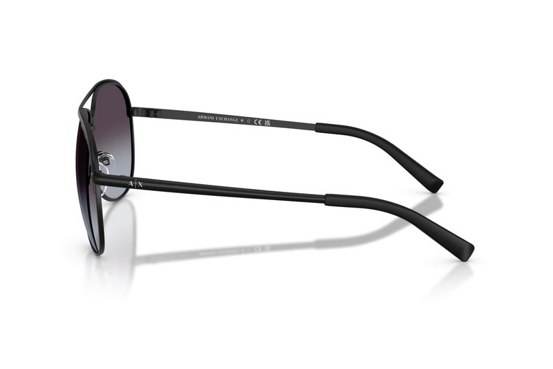 Armani Exchange Sunglasses AX2002