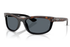 Ray-Ban Sunglass RB2489 (Pre_Booking)
