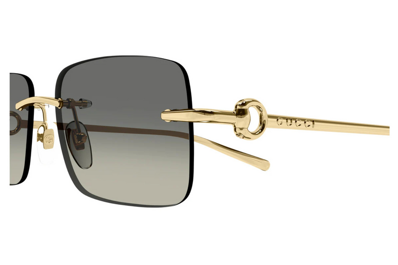 Gucci Sunglasses GG1703S