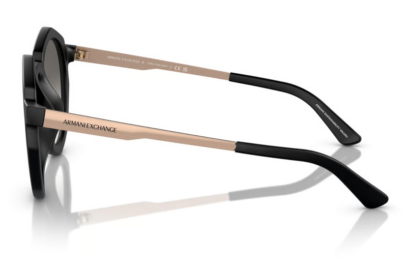 Armani Exchange Sunglasses AX4132SU