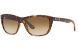 Ray-Ban Sunglass RB4154 (Pre_Booking)