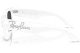 Ray-Ban Sunglass RB4940B (Pre_Booking)