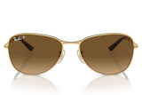RAY-BAN Sunglasses  RB3733