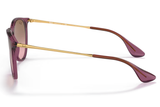 RAY-BAN Sunglasses RB4171