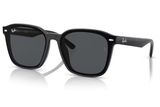 Ray-Ban Sunglass RB4392D(Pre_Booking)