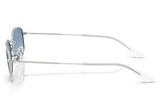 RAY-BAN Sunglasses RB3832