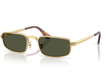 Ray-Ban Sunglass RB3927 (Pre_Booking)