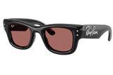 Ray-Ban Sunglass RB4940B (Pre_Booking)