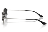 RAY-BAN Sunglasses RB3832