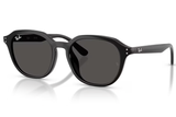 Ray-Ban Sunglass RB4459D (Pre_Booking)
