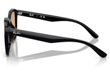 Ray-Ban Sunglass RB4392D(Pre_Booking)