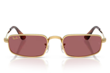 Ray-Ban Sunglass RB3927 (Pre_Booking)