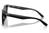 Ray-Ban Sunglass RB4420 (Pre_Booking)