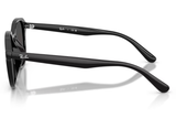 Ray-Ban Sunglass RB4459D (Pre_Booking)