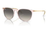 RAY-BAN Sunglasses RB4171