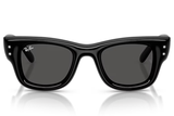 Ray-Ban Sunglass RB4940B (Pre_Booking)