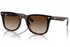 Ray-Ban Sunglass RB4420 (Pre_Booking)