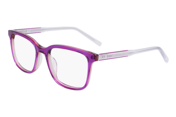DKNY Frame 5065